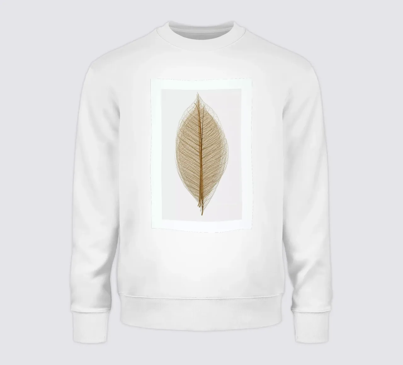 Skeleton of a Leaf II sweatshirt by Flora & Fauna