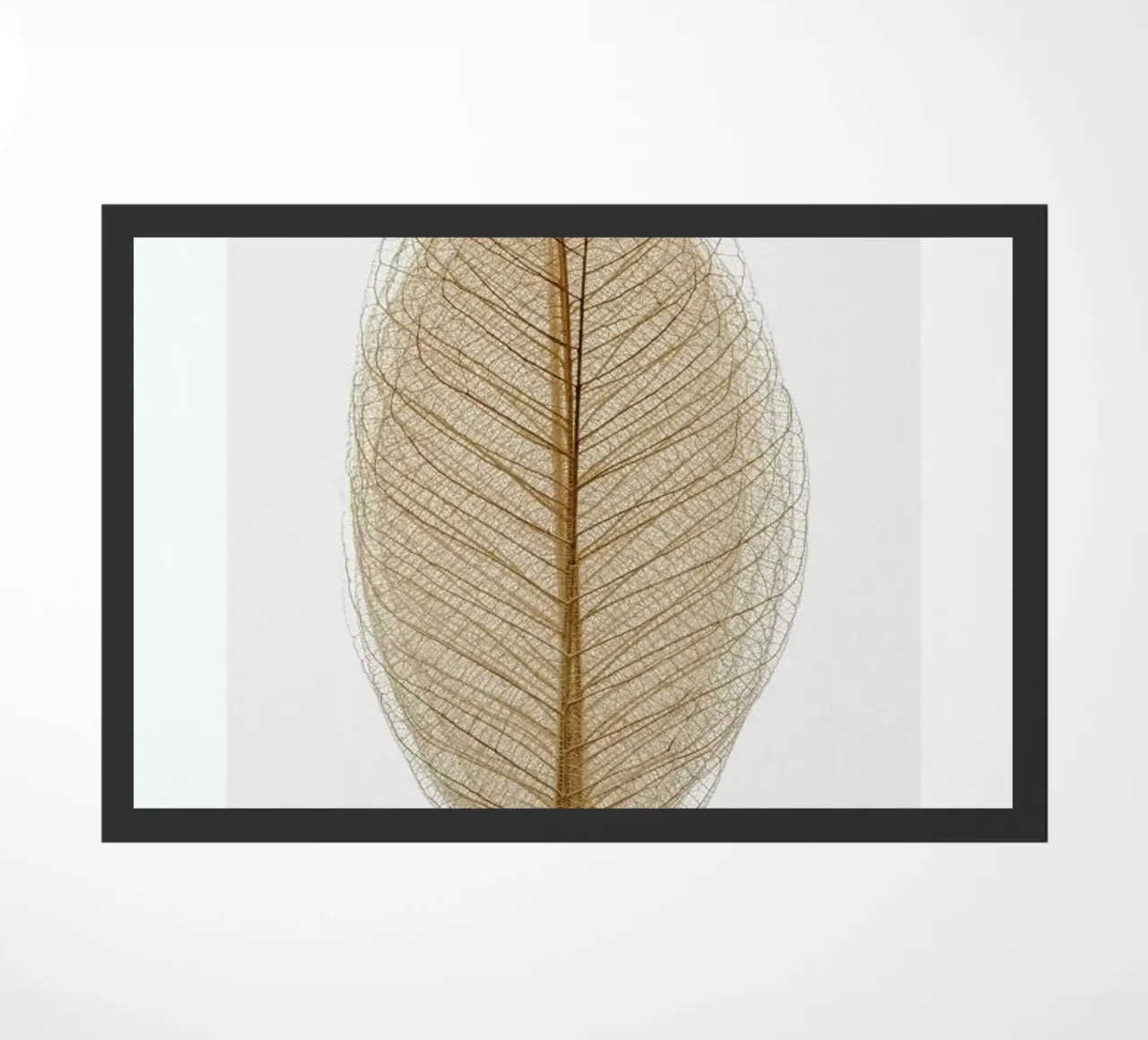 Skeleton of a Leaf II zerbino da Flora & Fauna