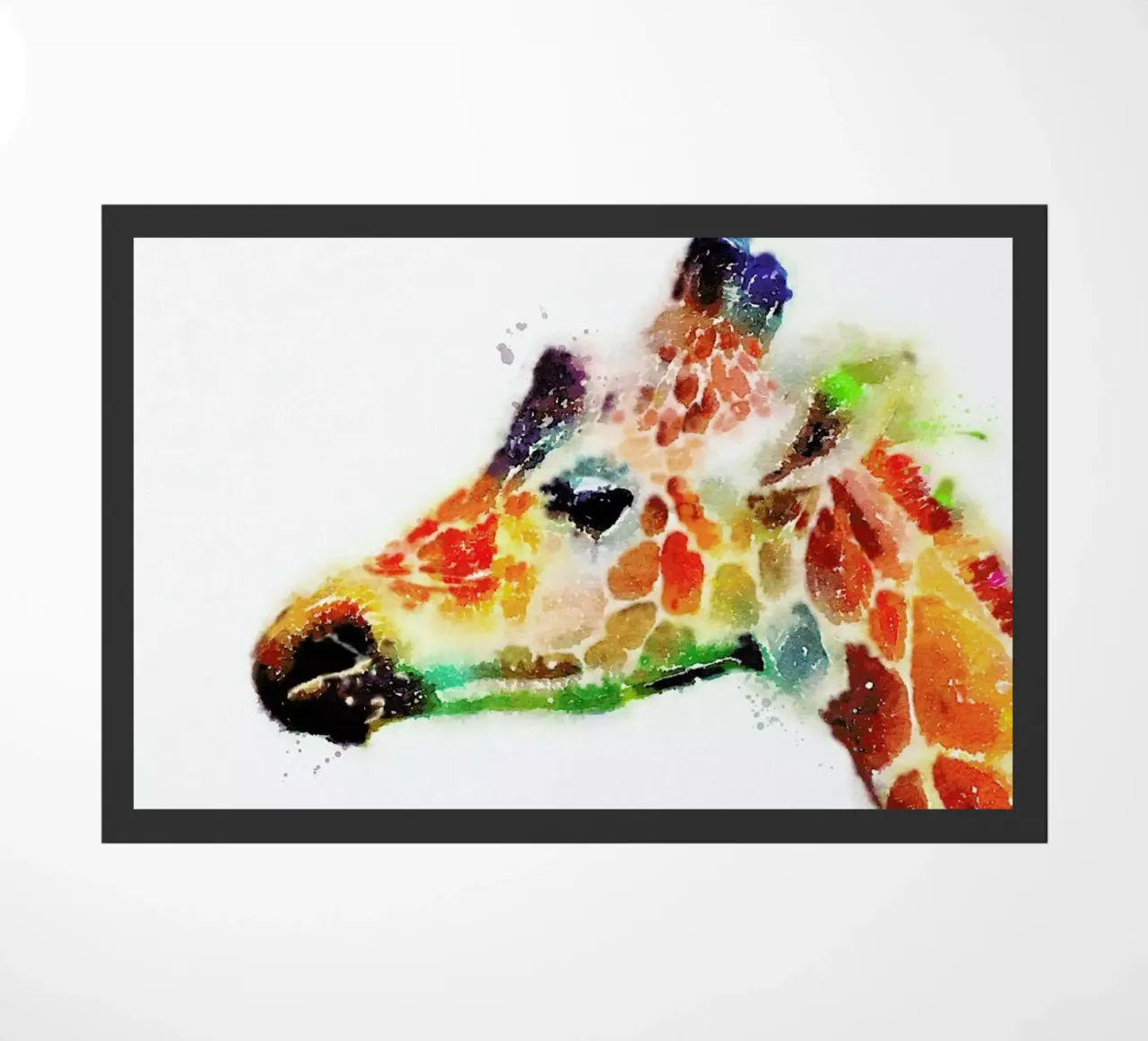 The Graceful zerbino da Jacqueline Maldonado