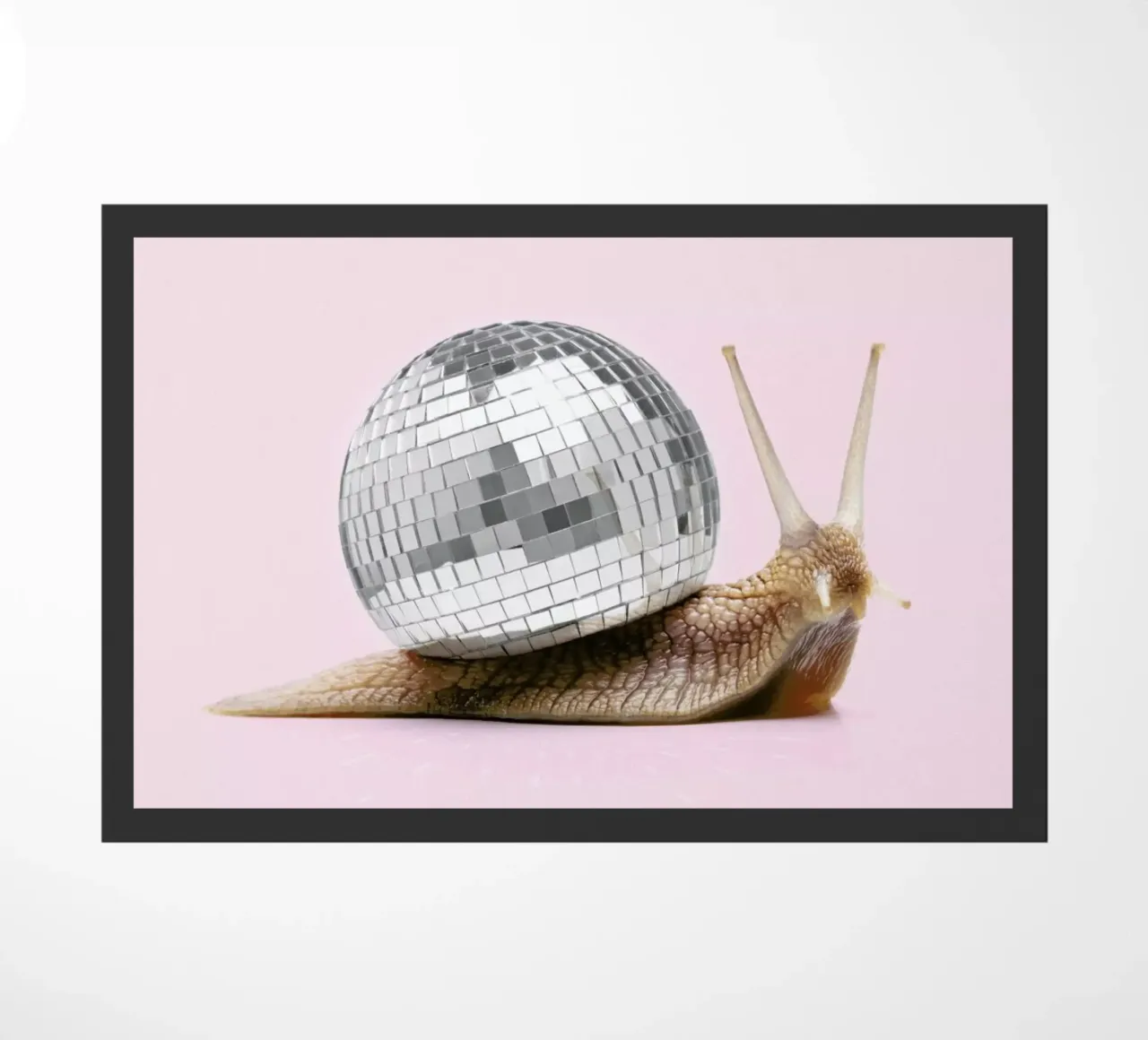 Disco Snail zerbino da Paul Fuentes Design