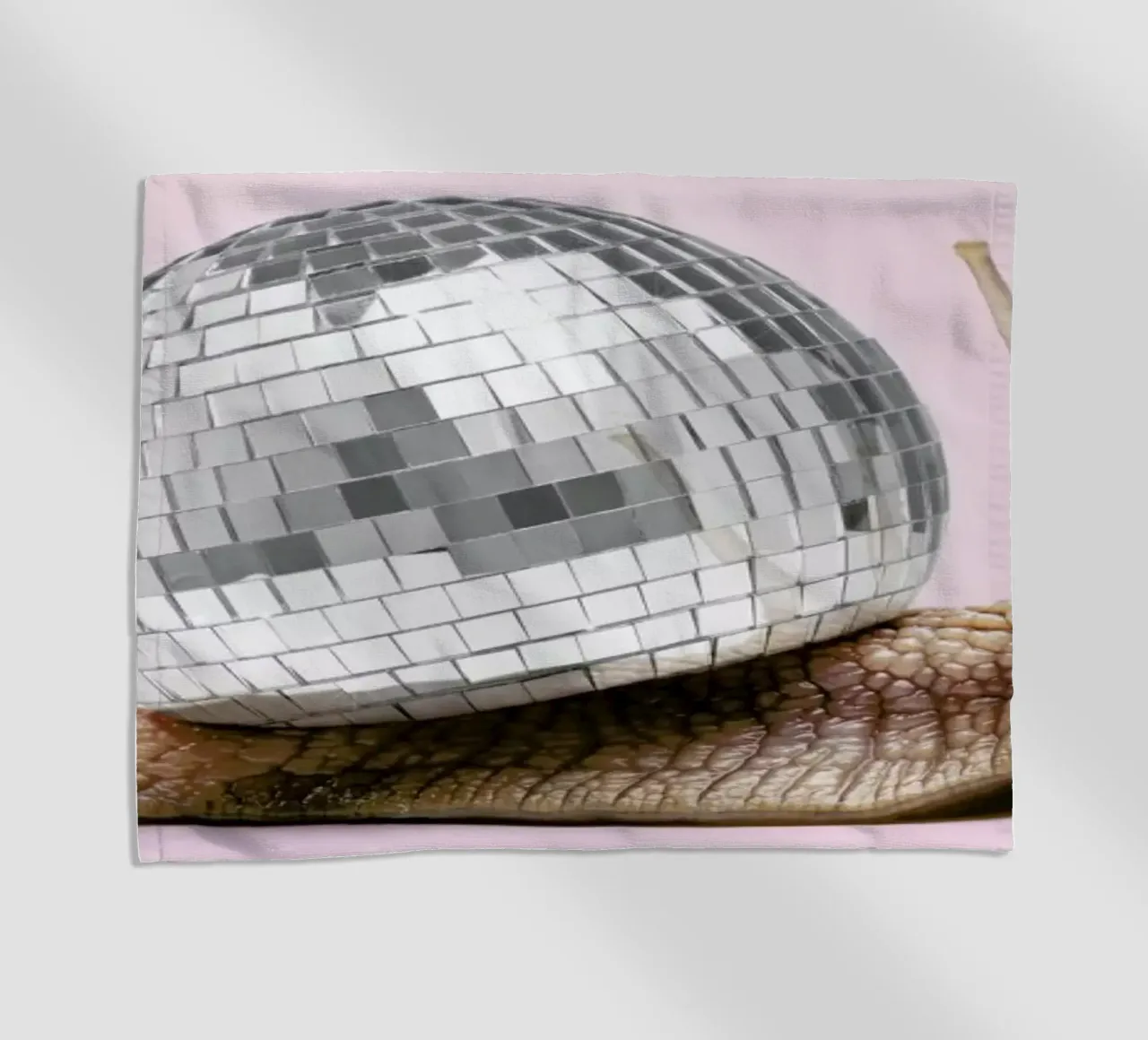 Disco Snail telo mare da Paul Fuentes Design