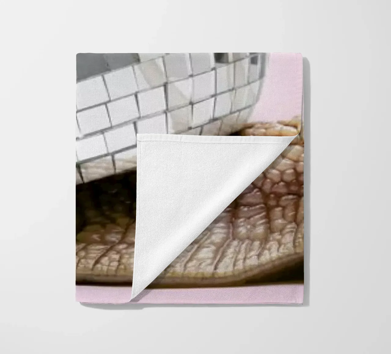 Disco Snail telo mare da Paul Fuentes Design
