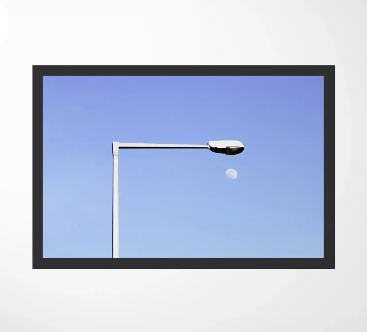 Moonlight zerbino da Rupert Höller