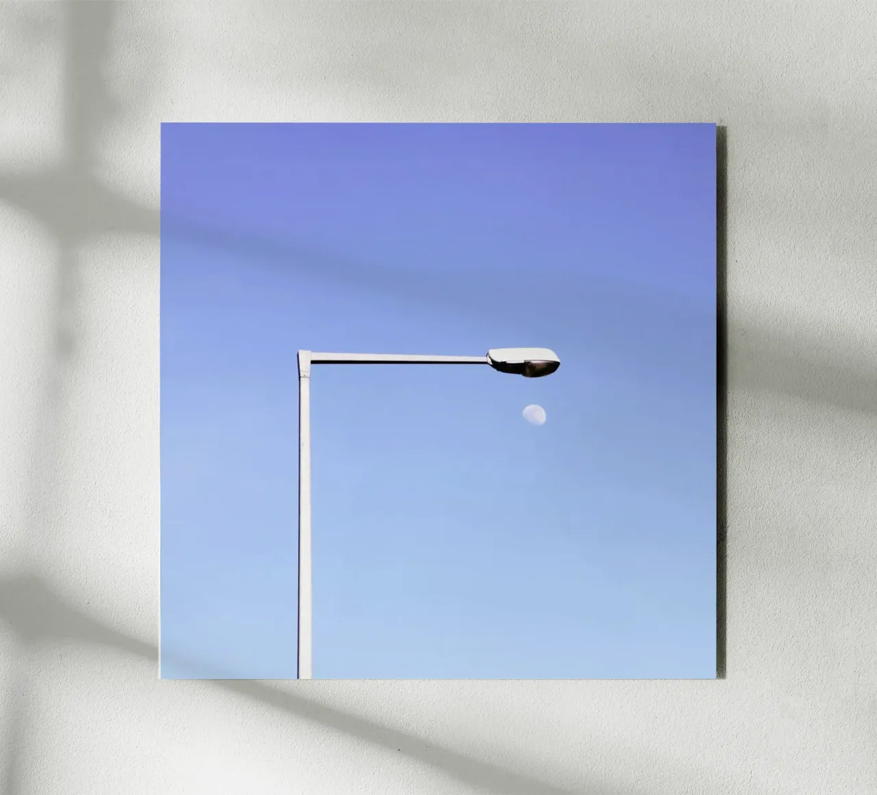 Moonlight forex plate by Rupert Höller