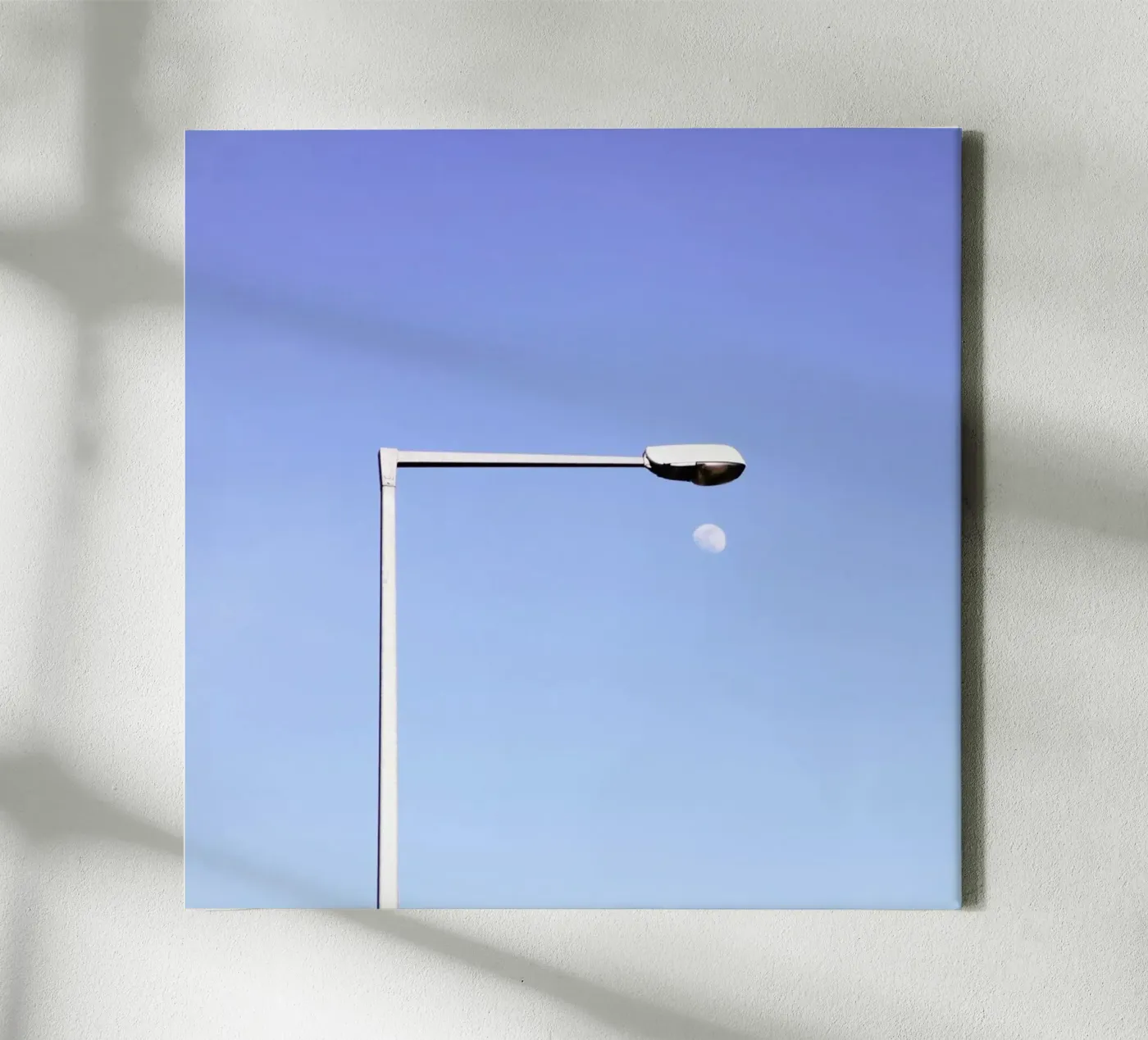 Moonlight canvas van Rupert Höller