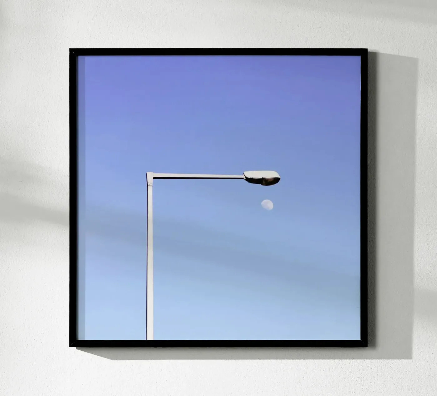 Moonlight Poster von Rupert Höller