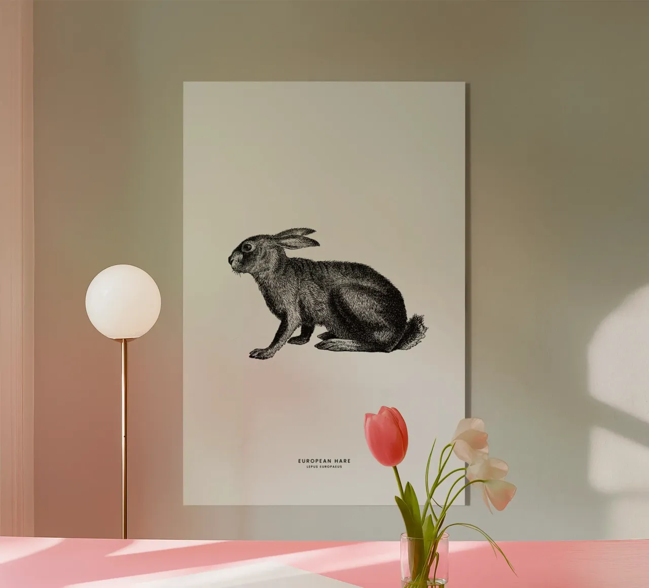 European Hare plexiglass da Flora & Fauna