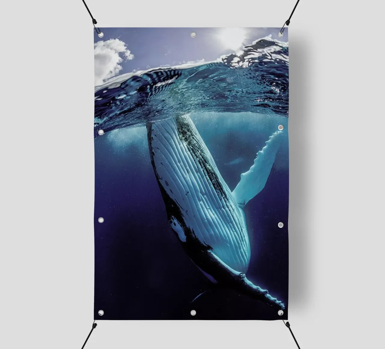 Hidden Depths telo in pvc da Natural Kingdom