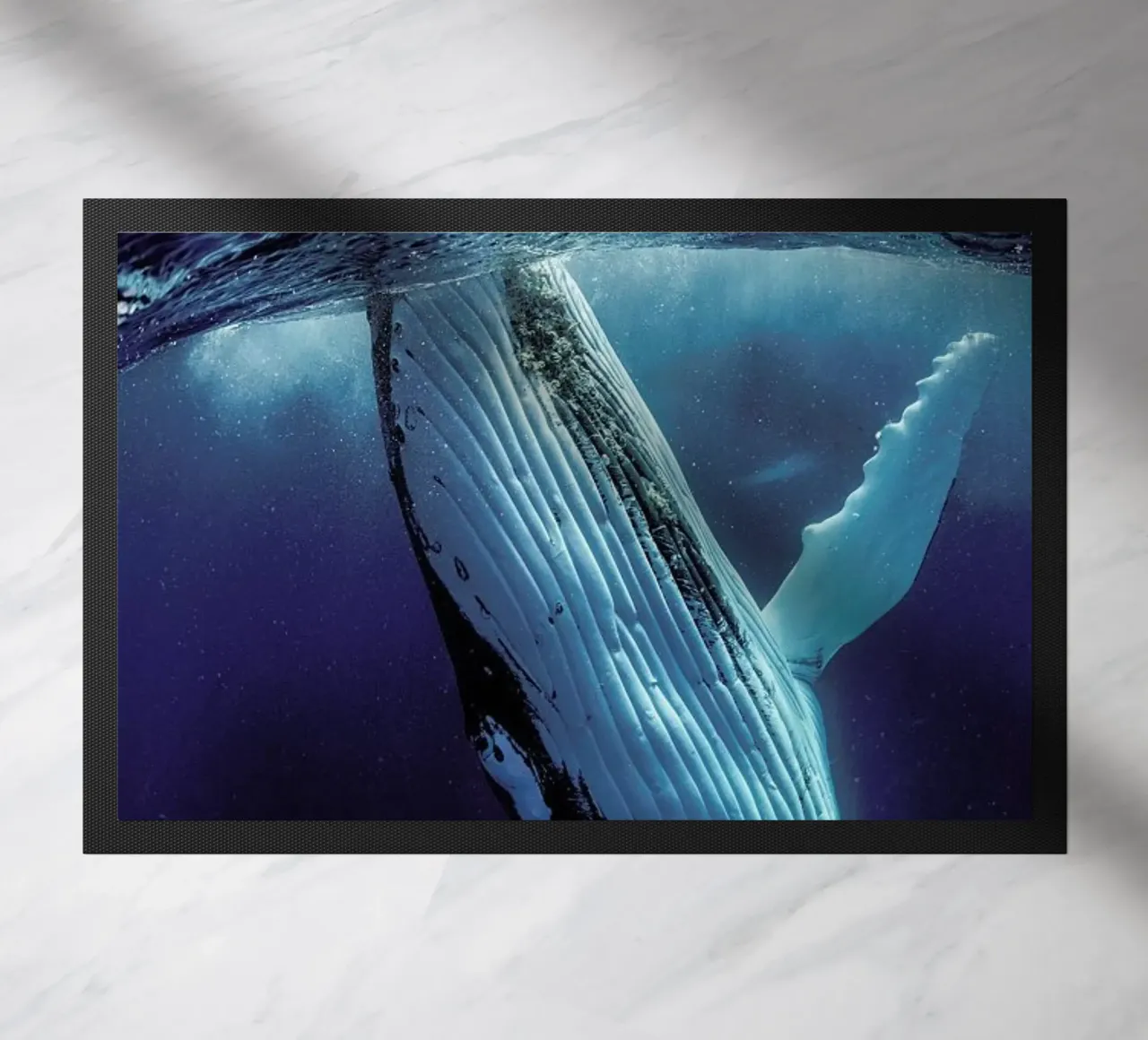 Hidden Depths zerbino da Natural Kingdom