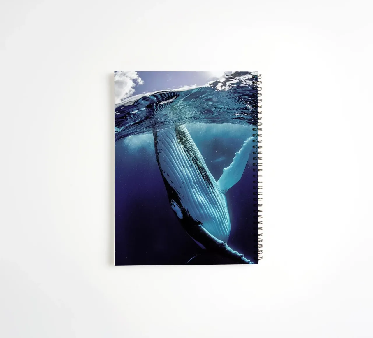 Hidden Depths spiral notebook by Natural Kingdom