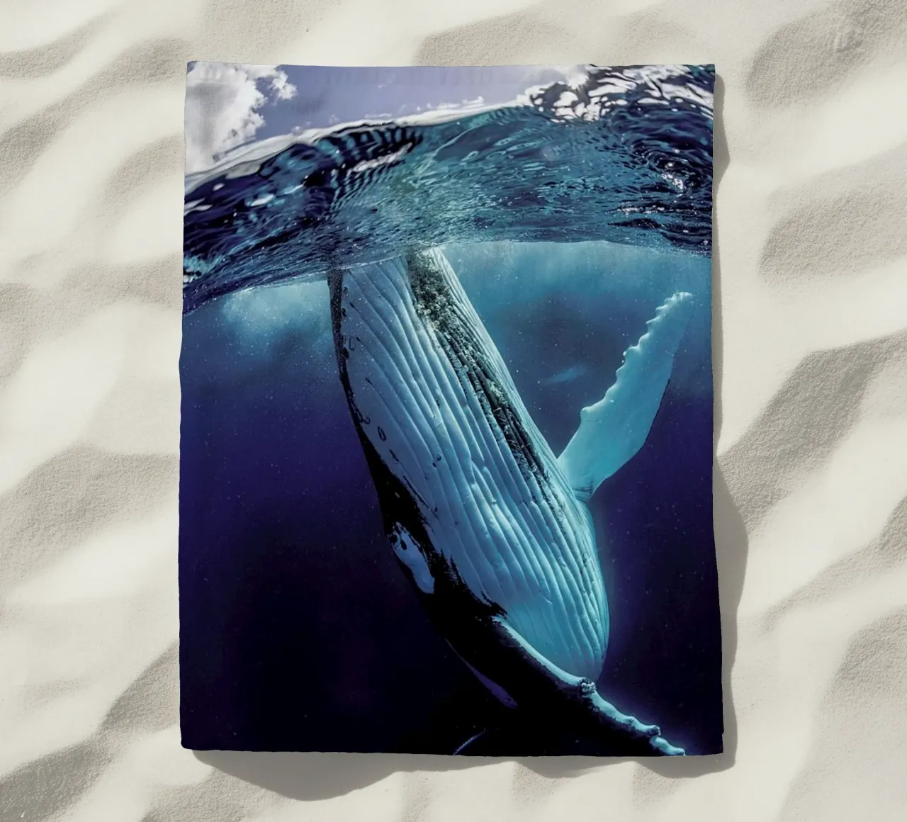 Hidden Depths telo mare da Natural Kingdom