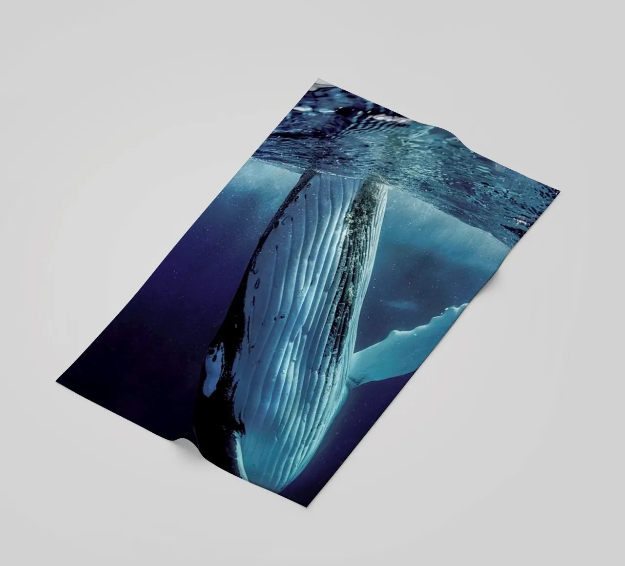 Hidden Depths telo mare da Natural Kingdom