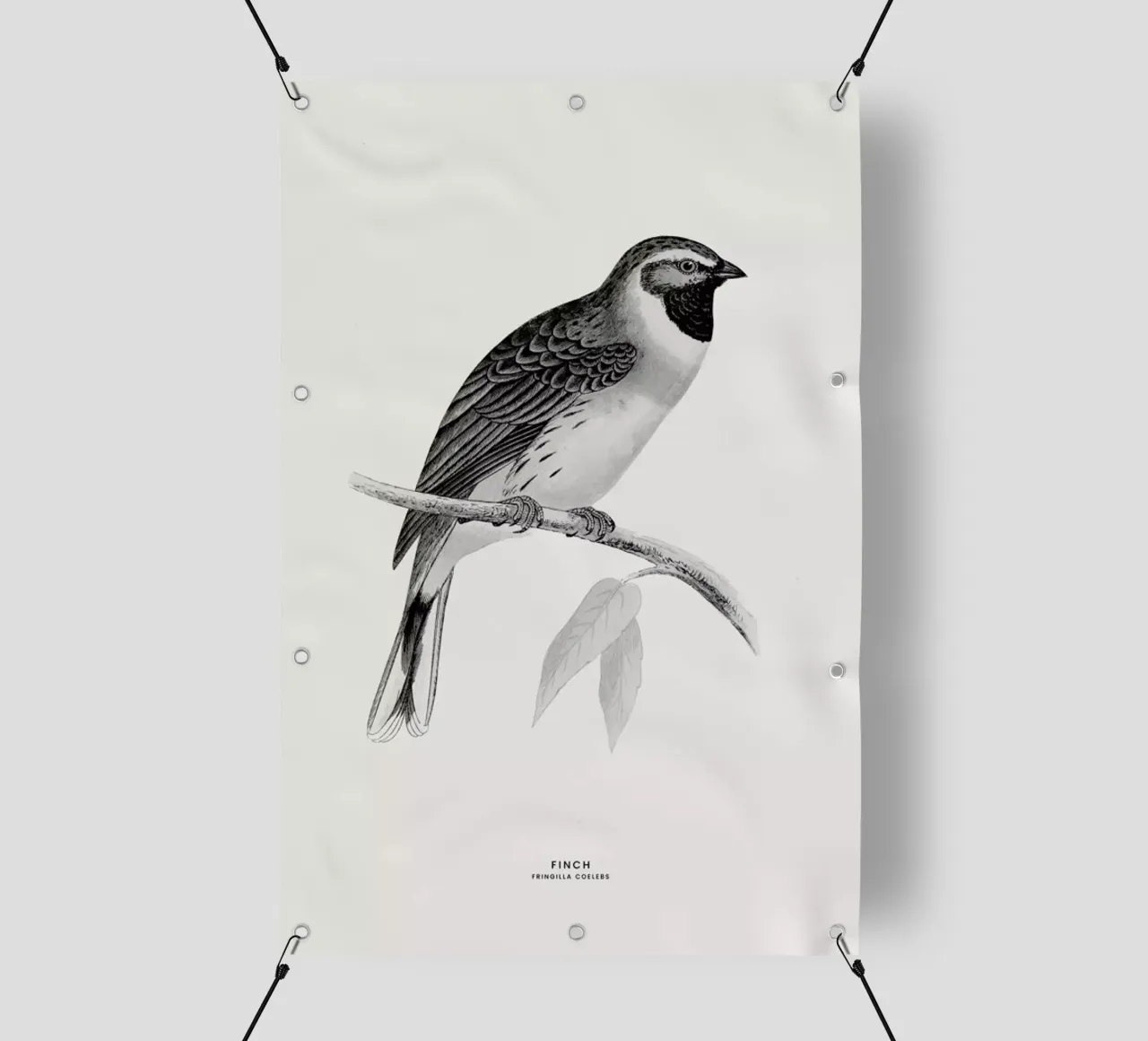 Finch telo in pvc da Flora & Fauna
