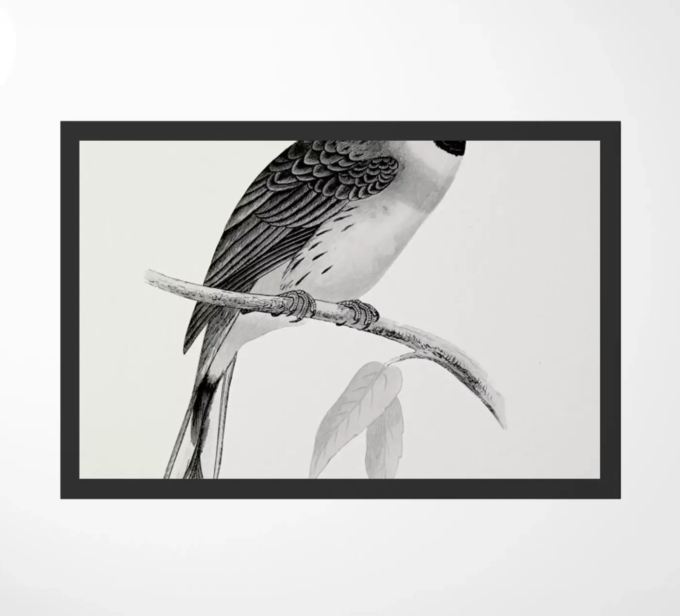Finch paillasson de Flora & Fauna