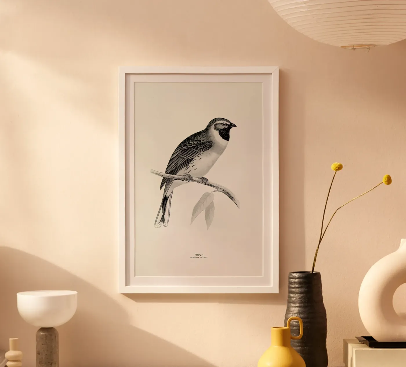 Finch poster by Flora & Fauna