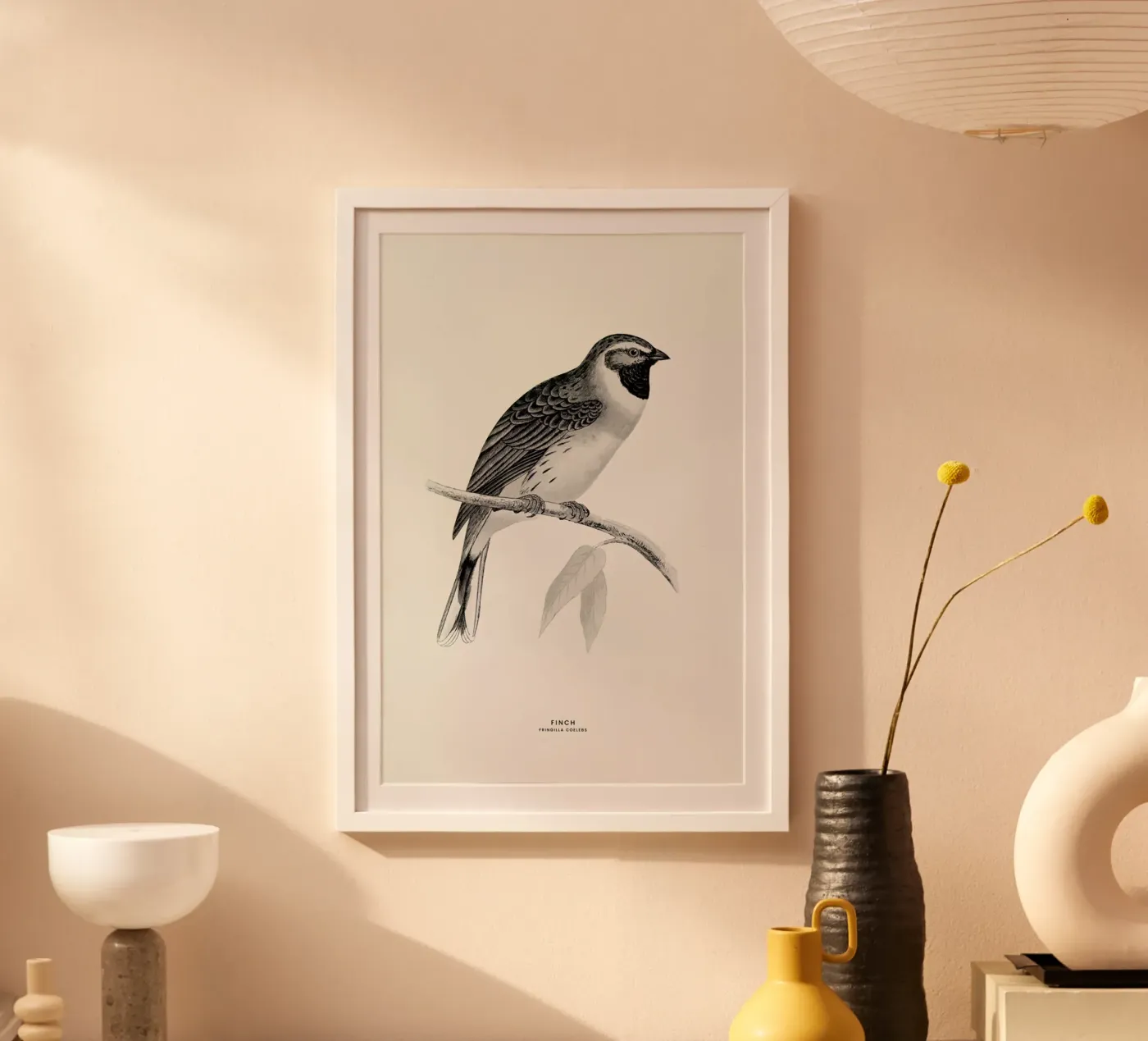Finch poster de Flora & Fauna