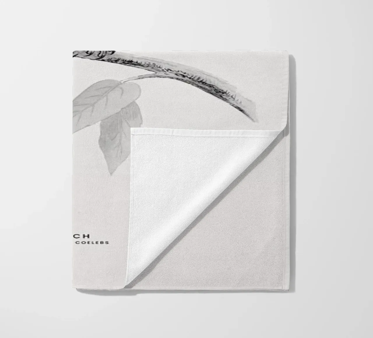 Finch telo mare da Flora & Fauna