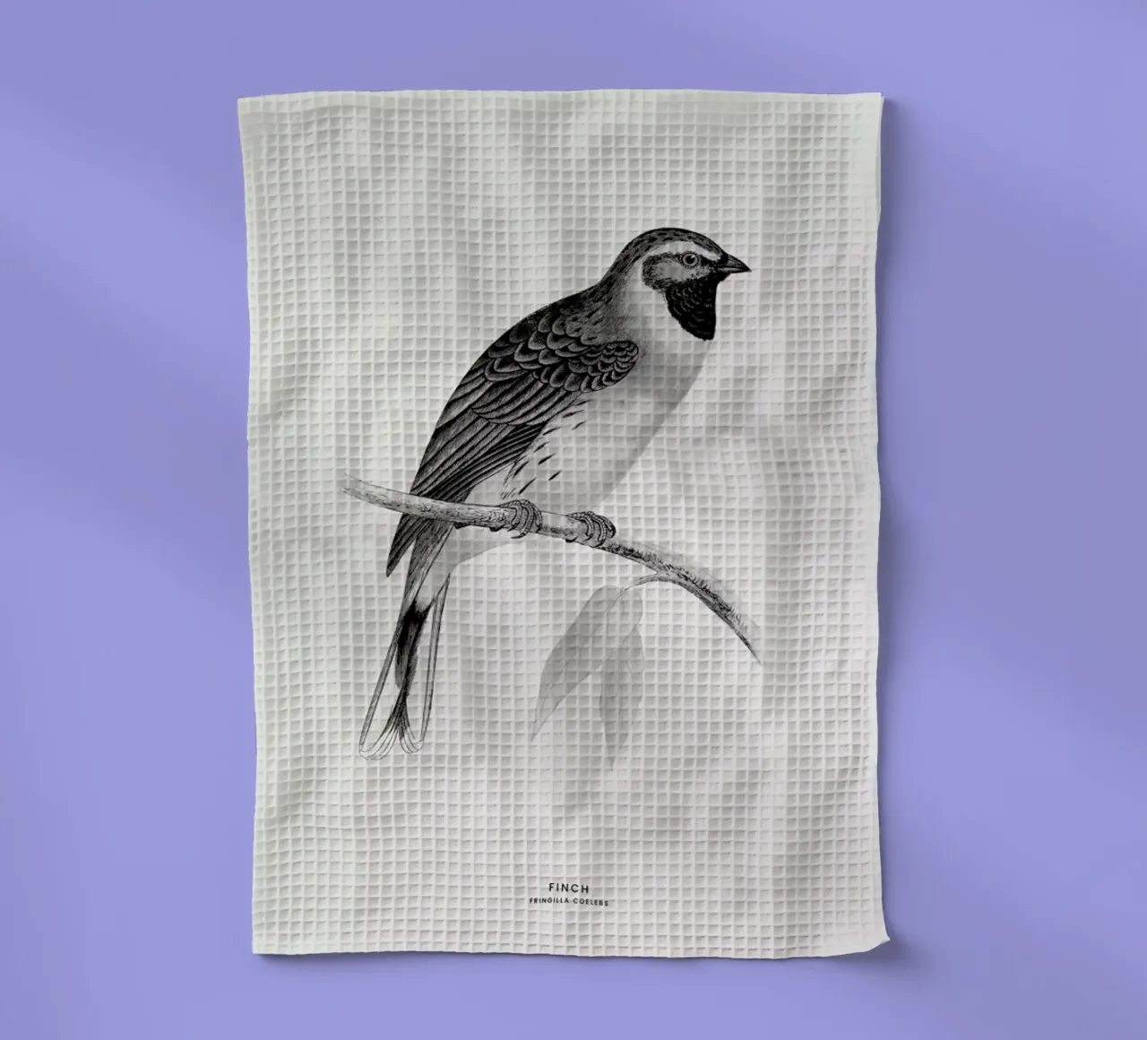 Finch canovaccio da cucina da Flora & Fauna