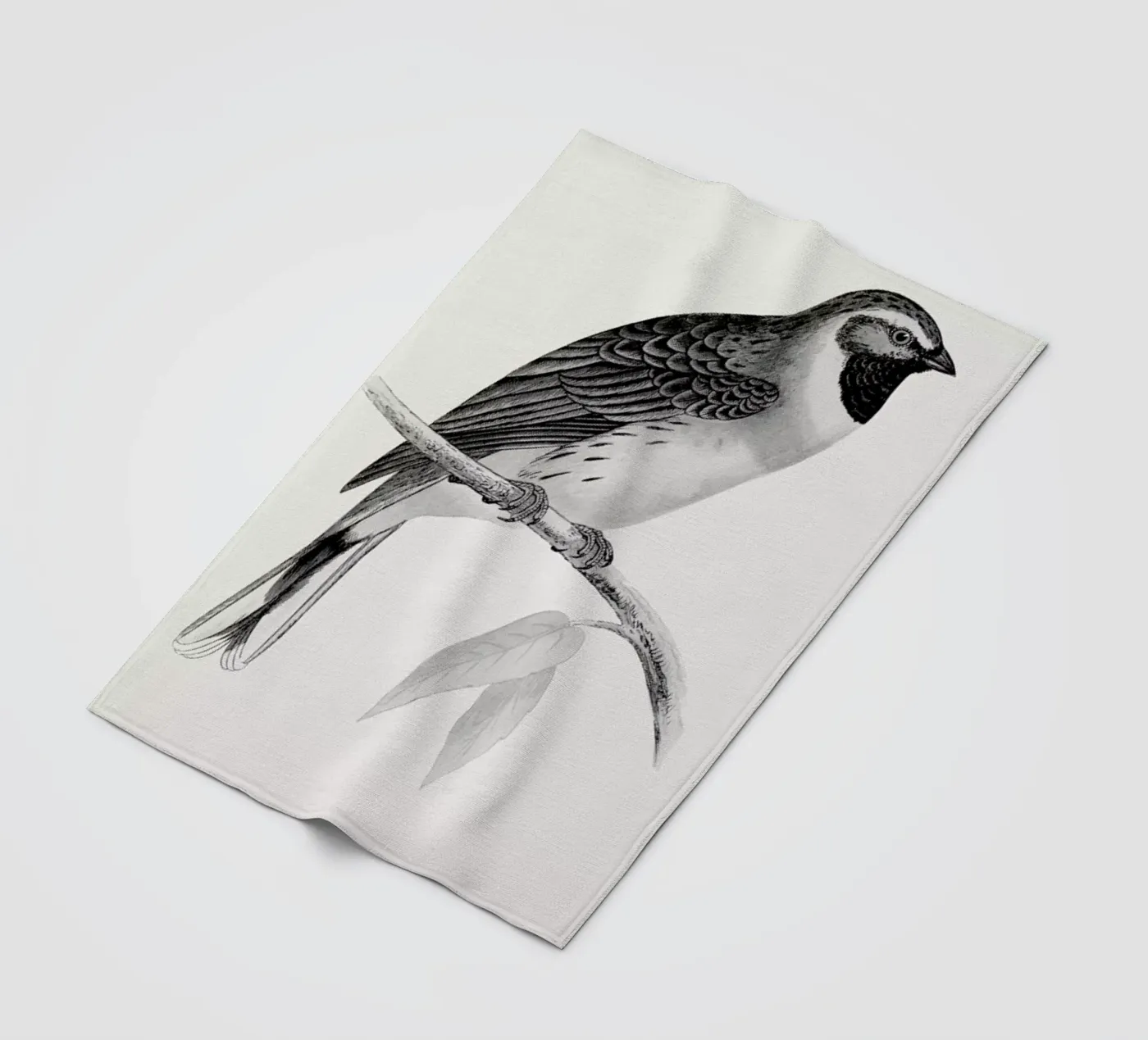 Finch Fleecedecke von Flora & Fauna