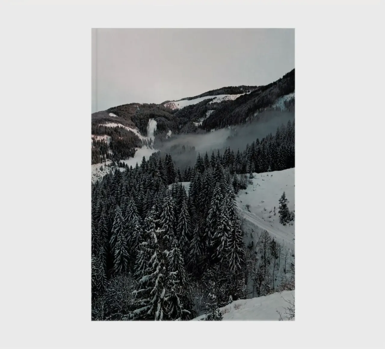 Street Through the Forest carnet de notes de Sebastian Hilgetag