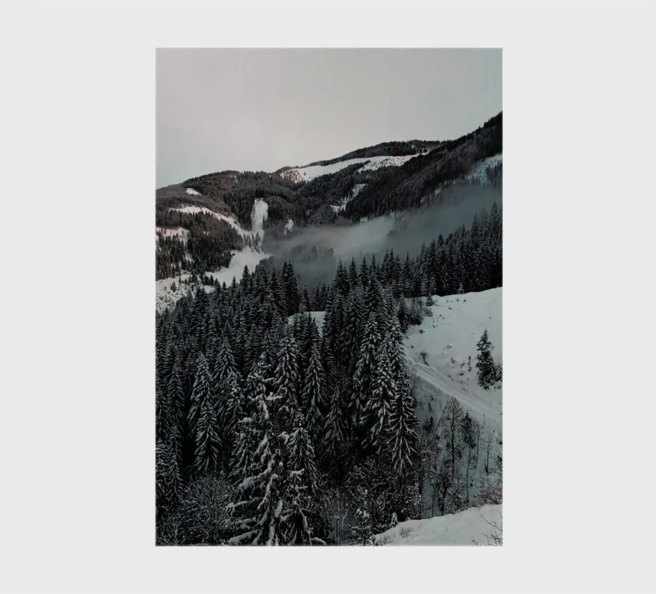 Street Through the Forest carnet de notes de Sebastian Hilgetag