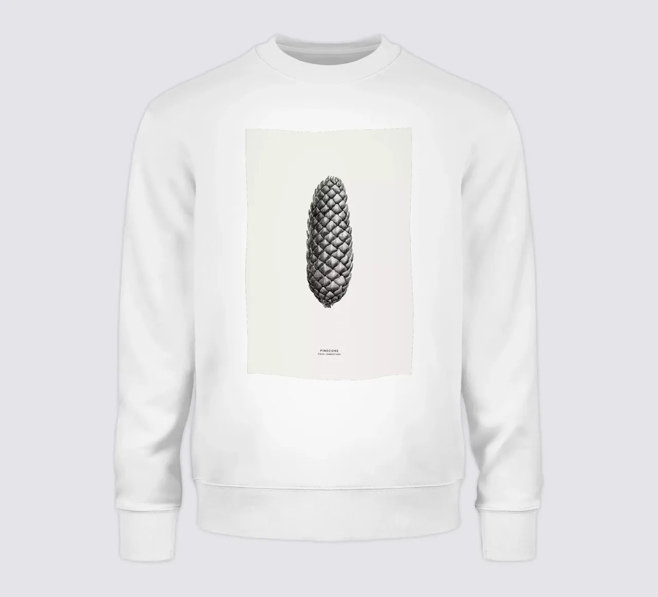 Pine Cone III felpa da Flora & Fauna