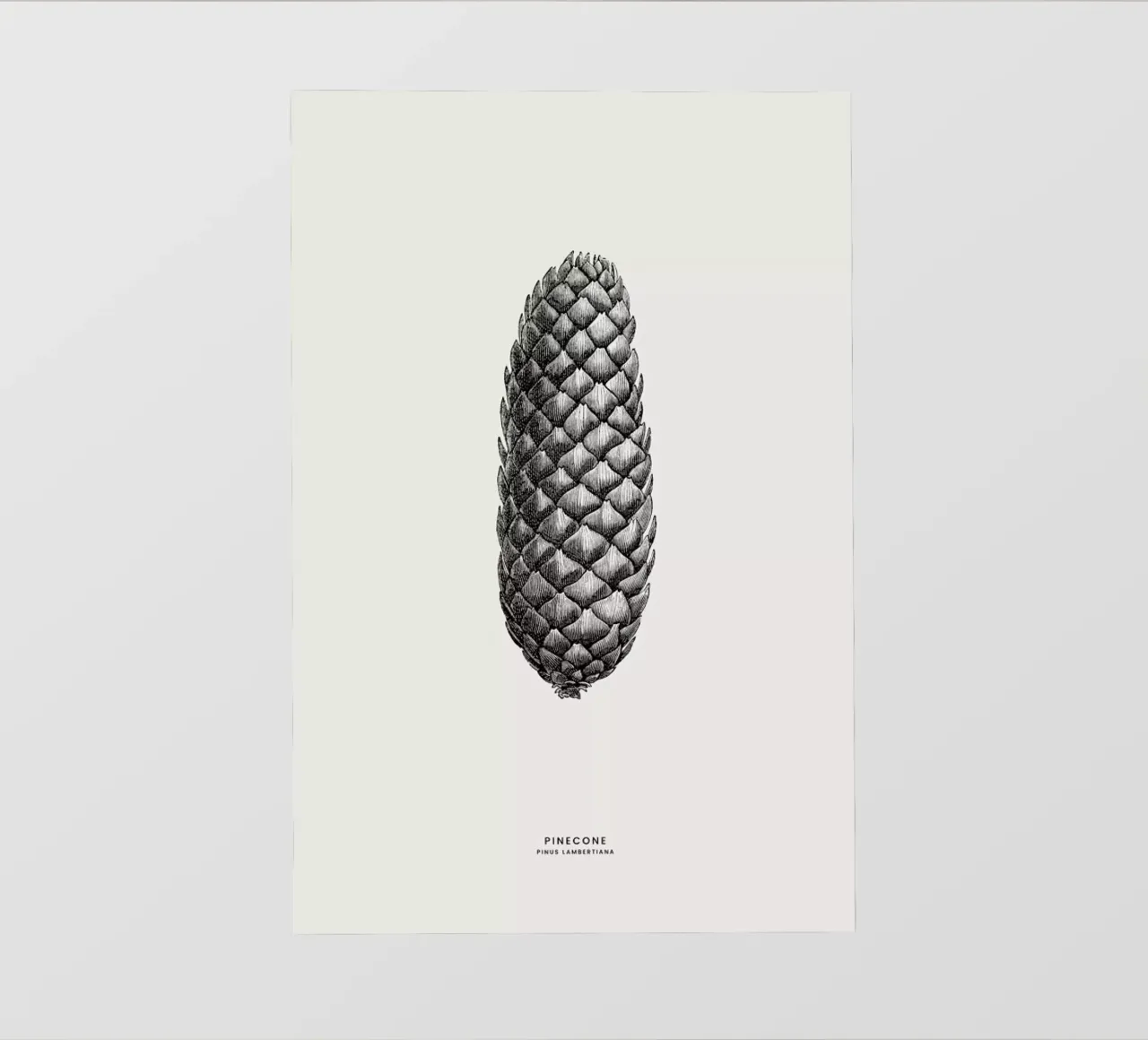 Pine Cone III telo in pvc da Flora & Fauna