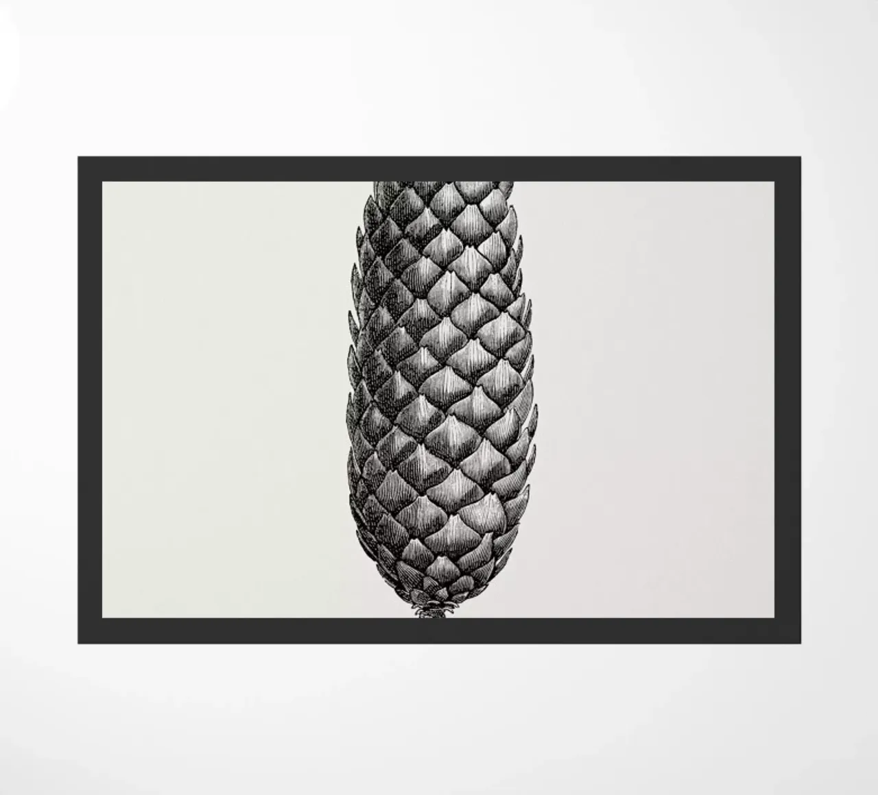 Pine Cone III zerbino da Flora & Fauna