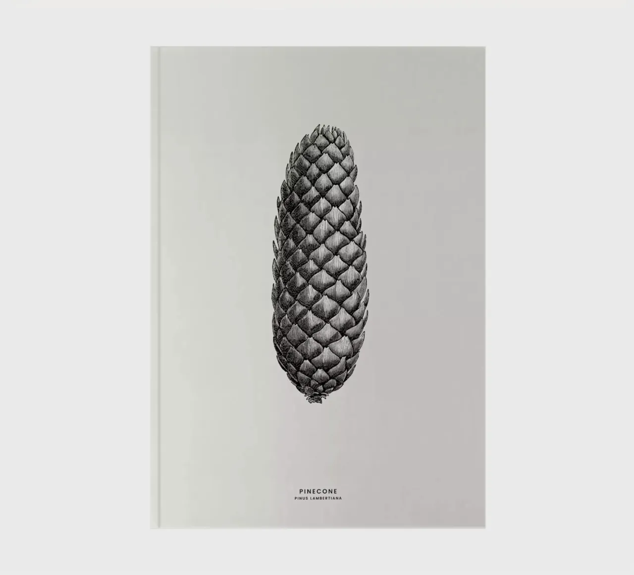 Pine Cone III notebook by Flora & Fauna
