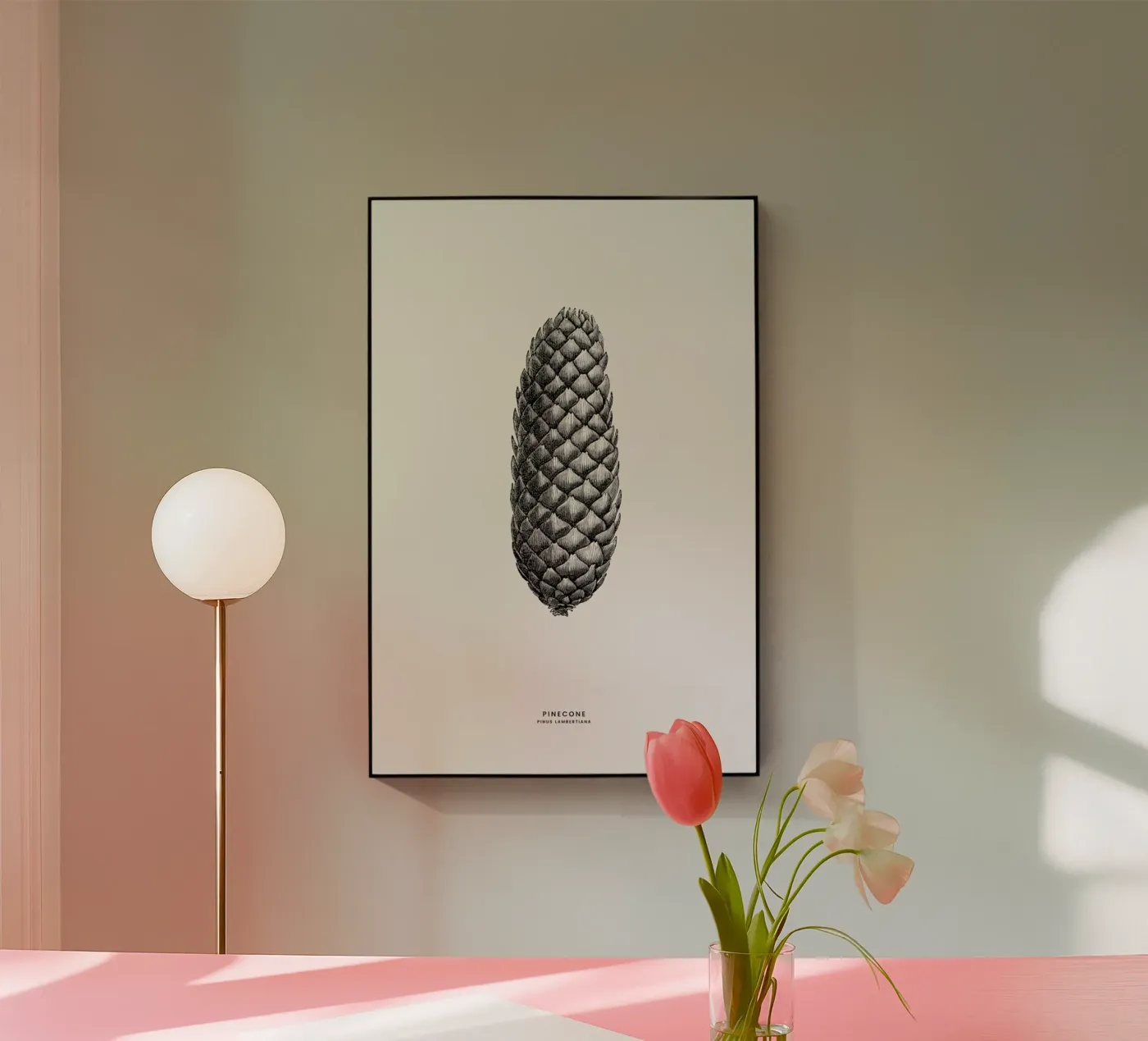 Pine Cone III plexiglas de Flora & Fauna