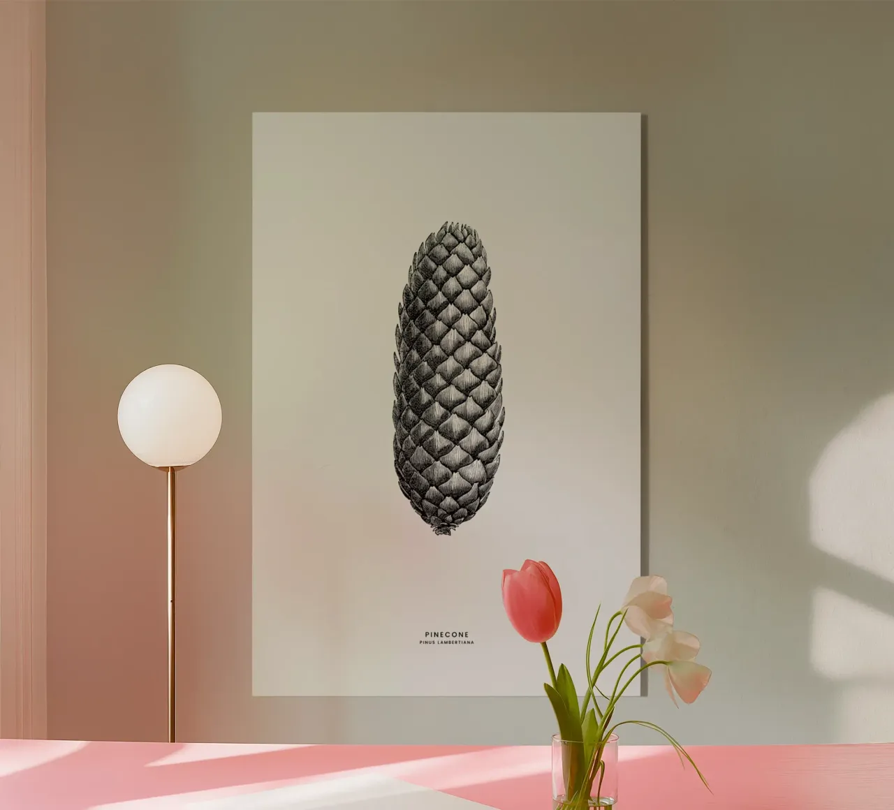 Pine Cone III plexiglass da Flora & Fauna