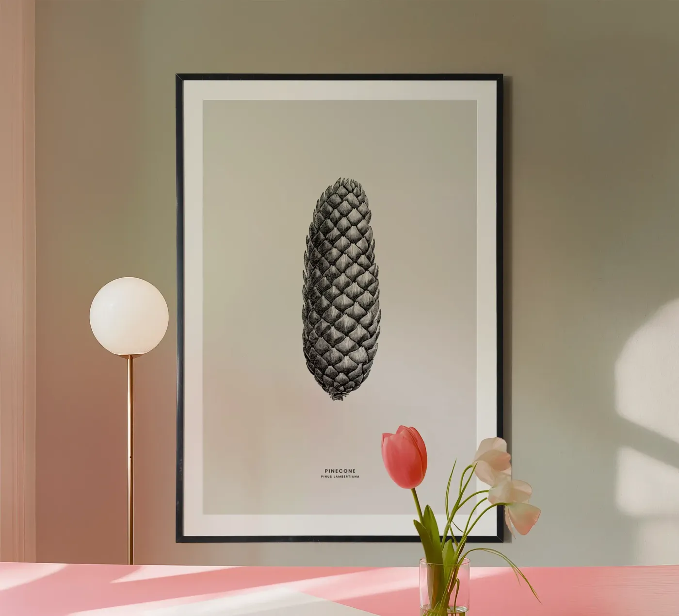 Pine Cone III poster da Flora & Fauna