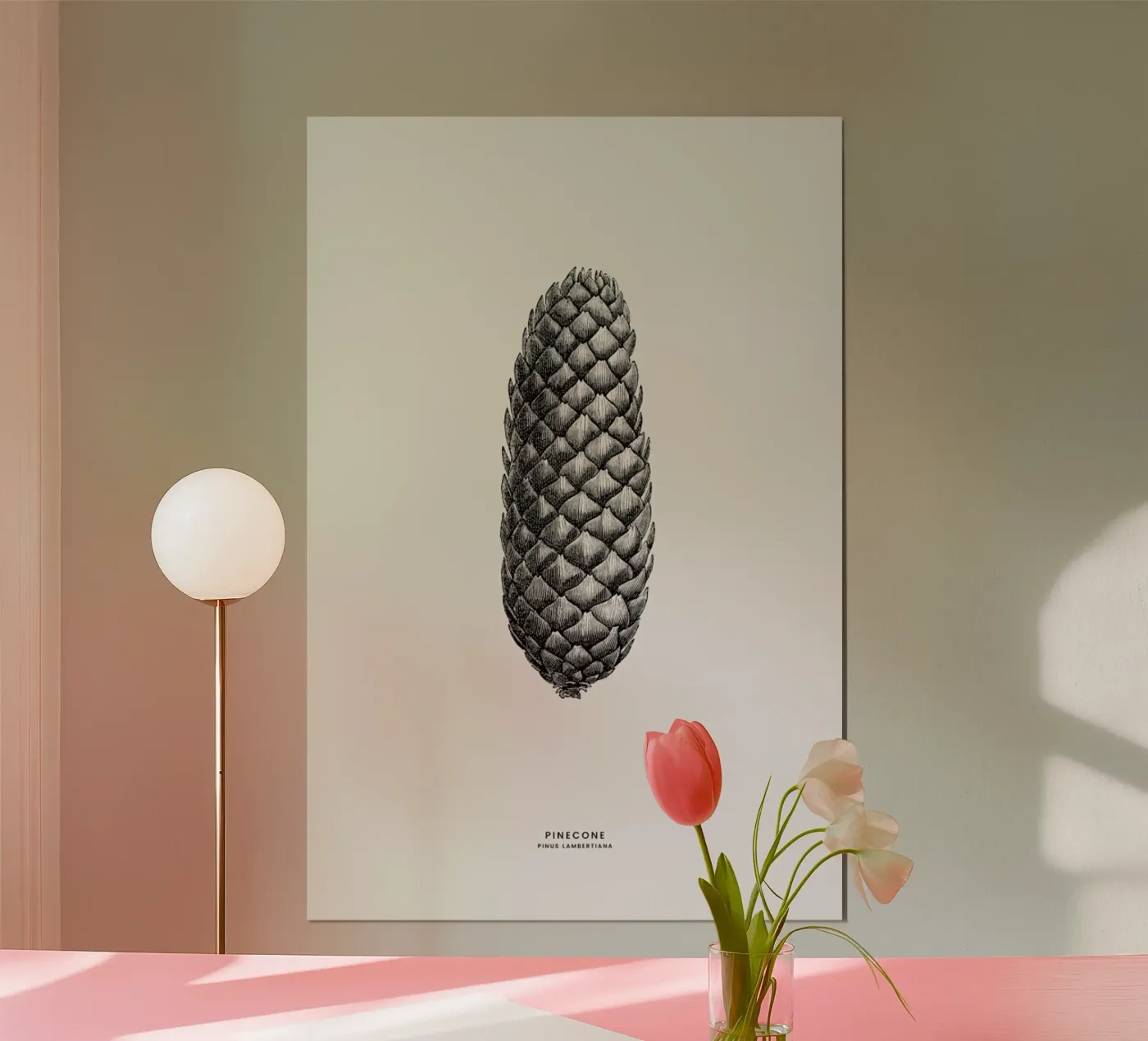Pine Cone III poster da Flora & Fauna