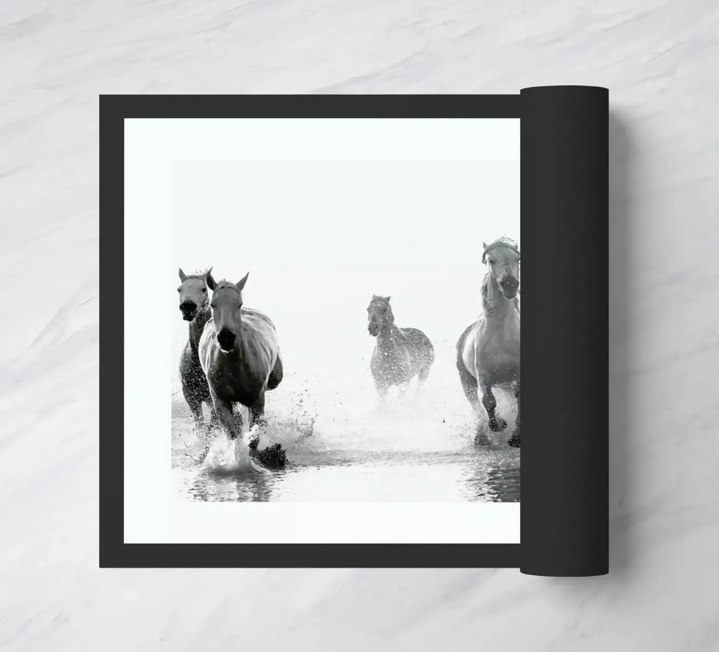 Galloping Through the Surf zerbino da Natural Kingdom