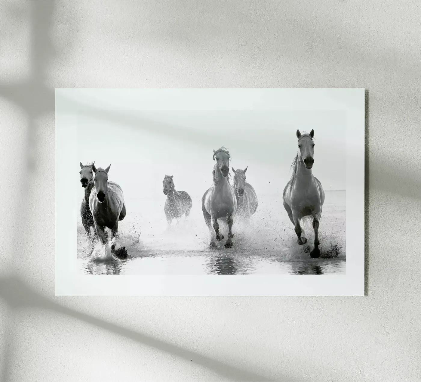 Galloping Through the Surf plexiglas de Natural Kingdom