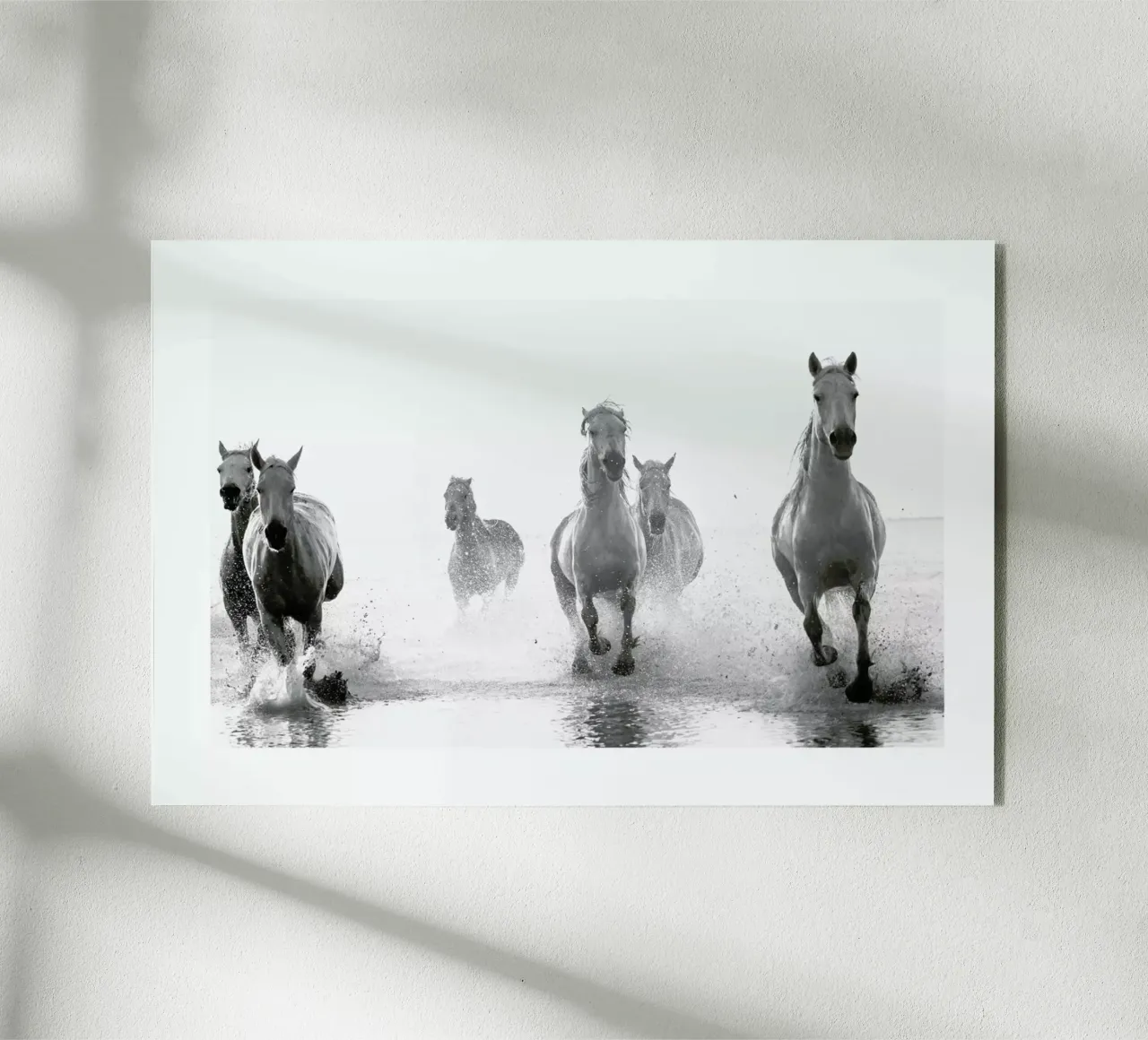Galloping Through the Surf plexiglass da Natural Kingdom