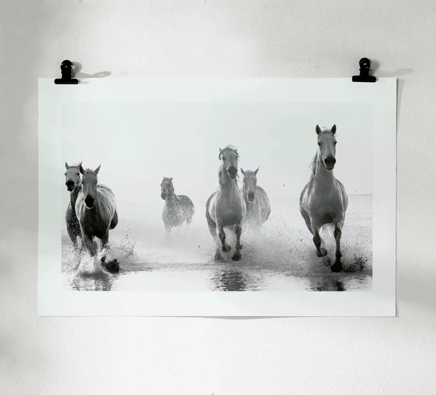 Galloping Through the Surf poster da Natural Kingdom
