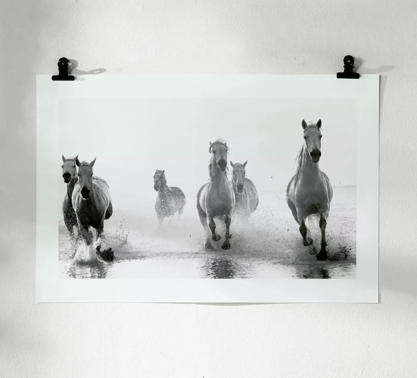Galloping Through the Surf poster by Natural Kingdom
