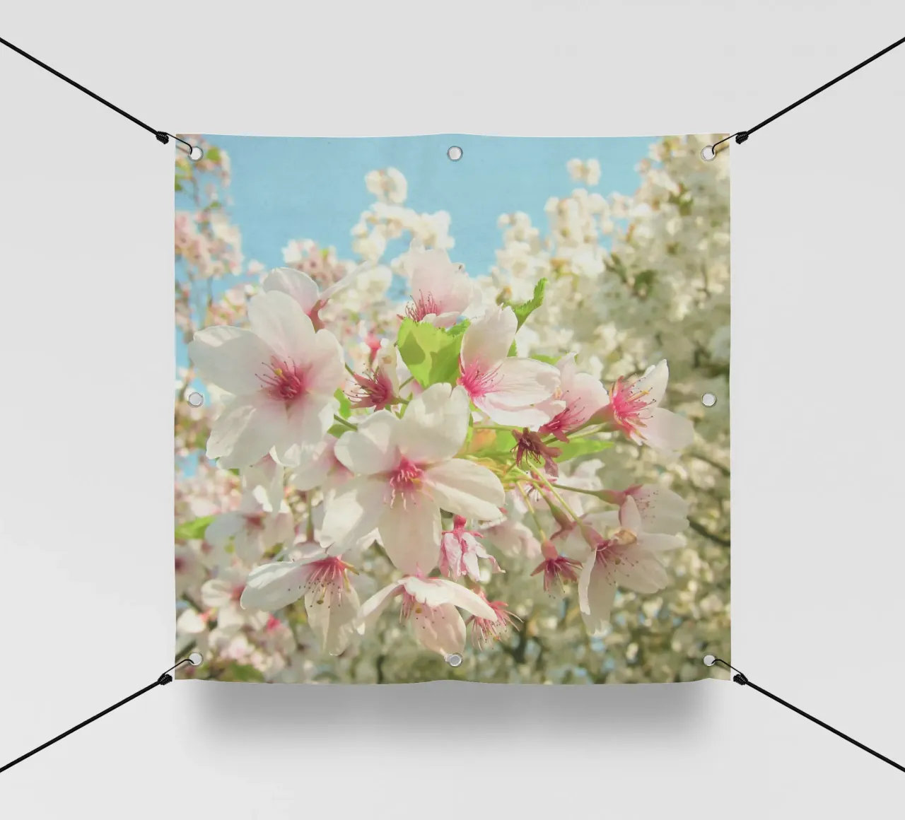 Fiore di primavera telo in pvc da Cassia Beck Photography