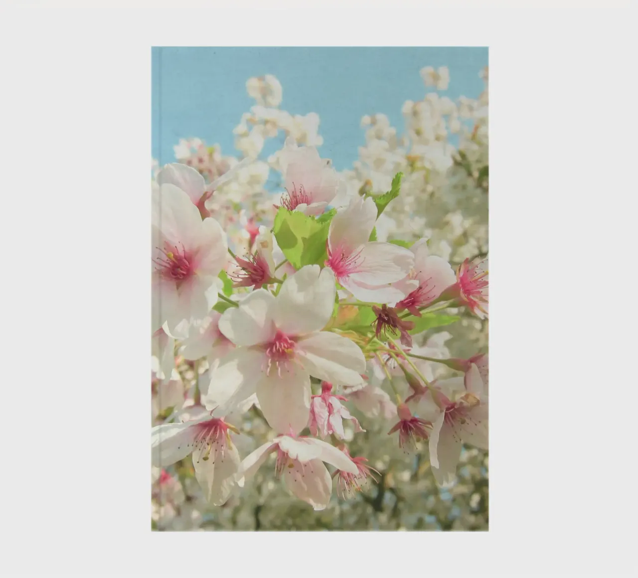 Spring Blossom notebook by Cassia Beck Photography