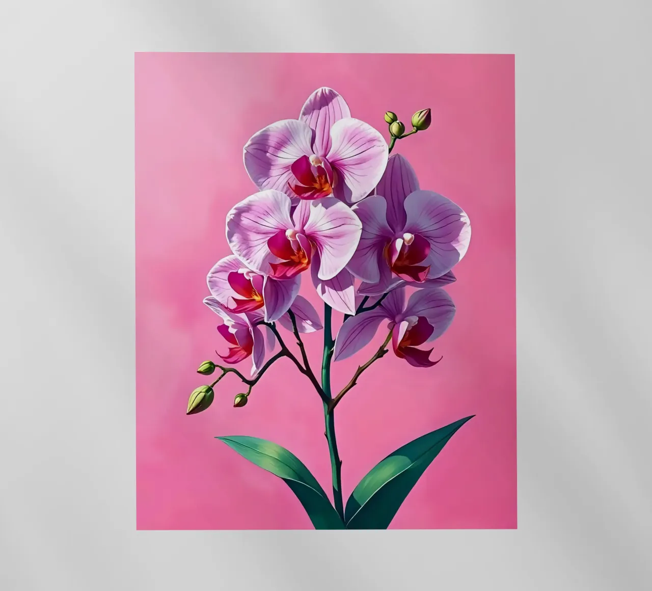 Stile_orchidea_C_2 pellicola backlit da Farb- und Blütenzauber by LK