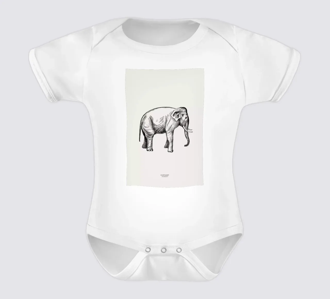 Elephant body neonato maniche corte da Flora & Fauna