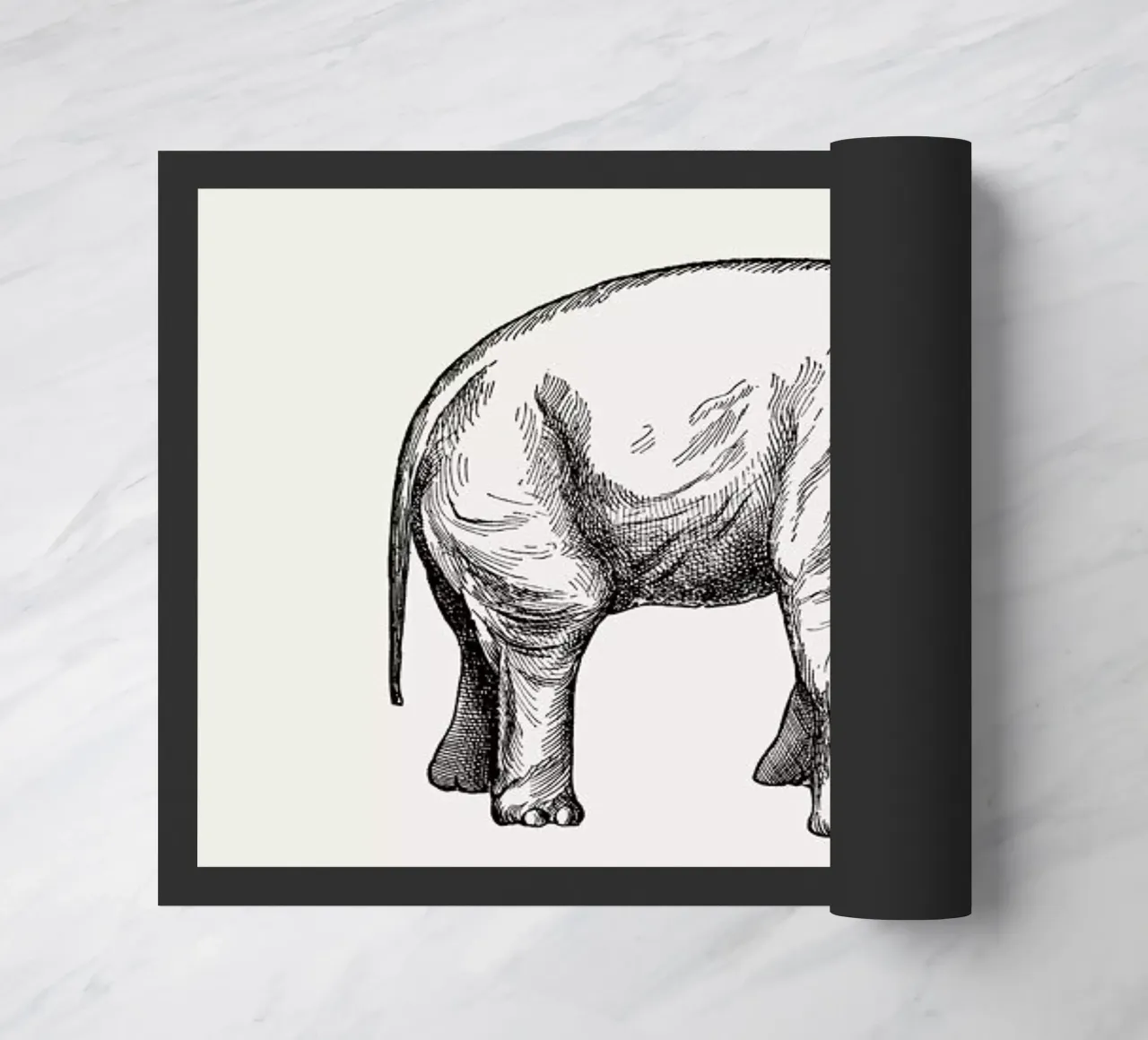 Elephant zerbino da Flora & Fauna