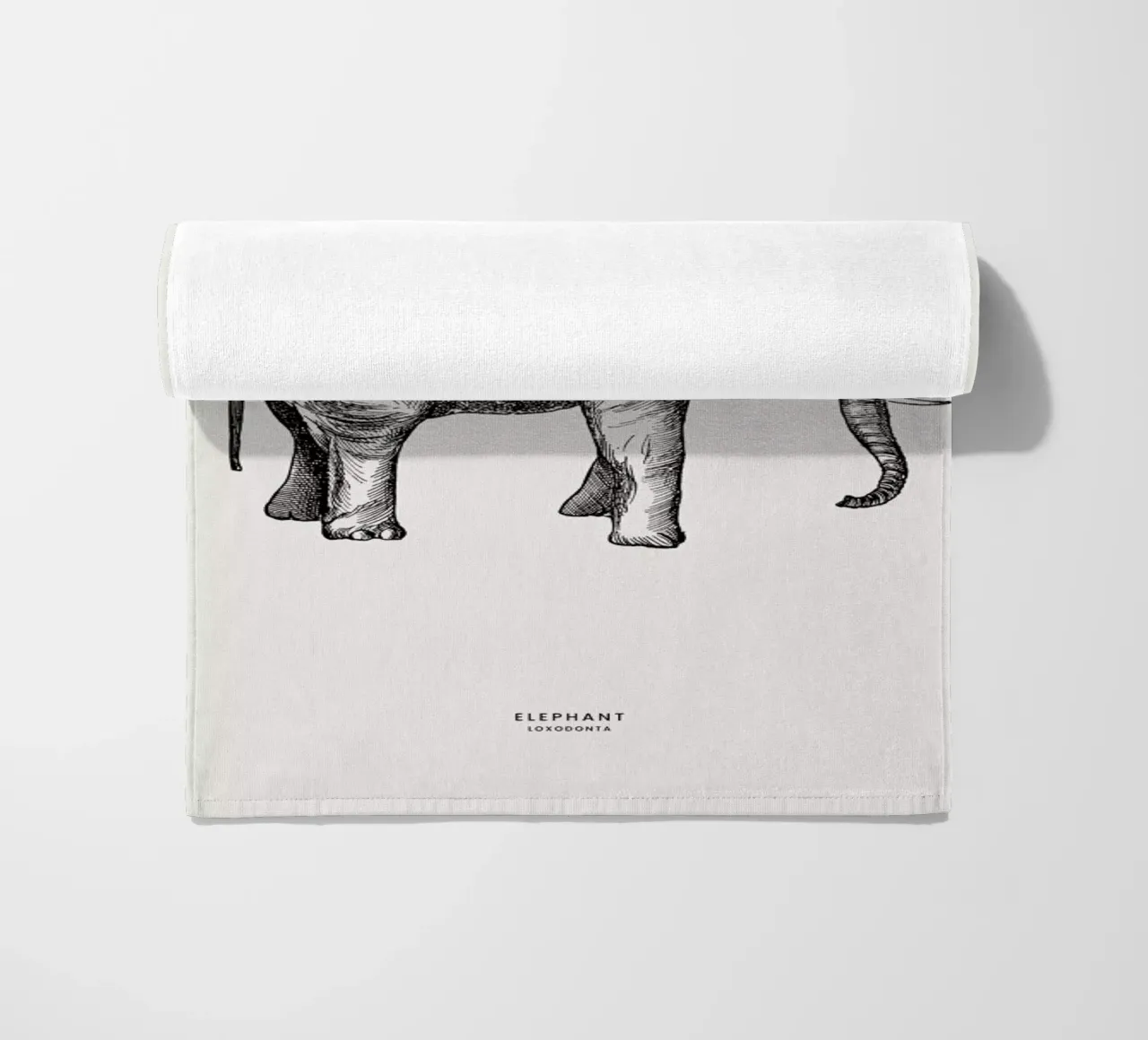 Elephant telo mare da Flora & Fauna