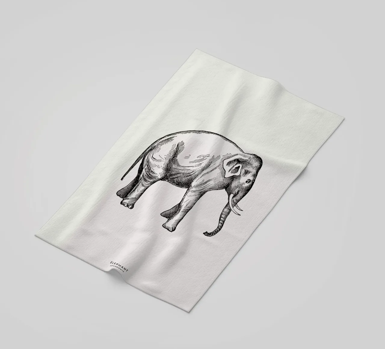 Elephant telo mare da Flora & Fauna