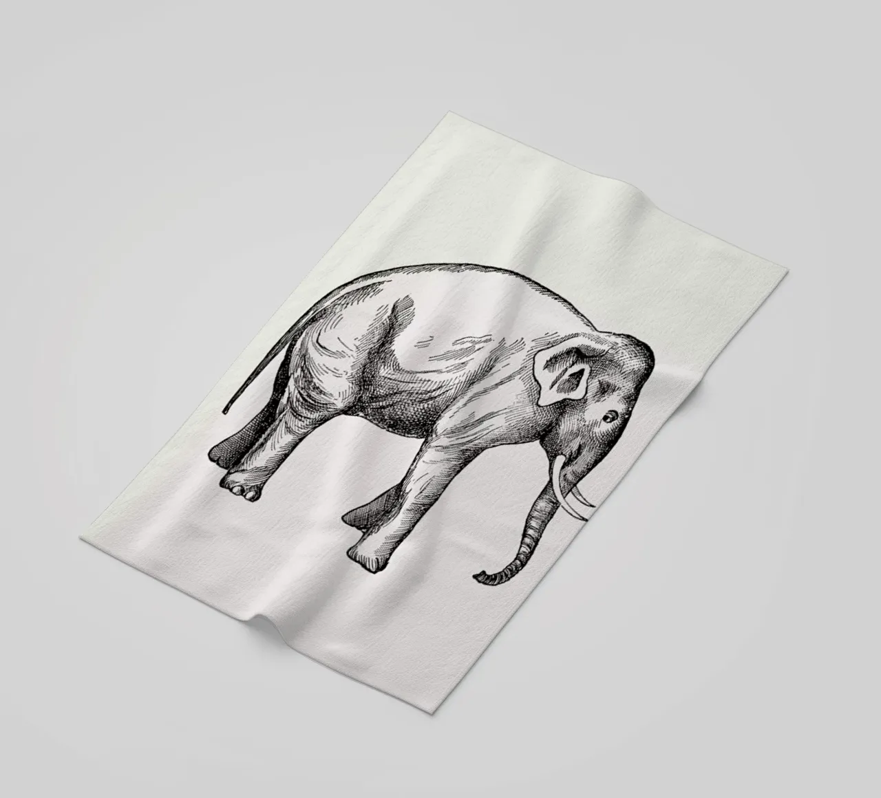 Elephant telo mare da Flora & Fauna