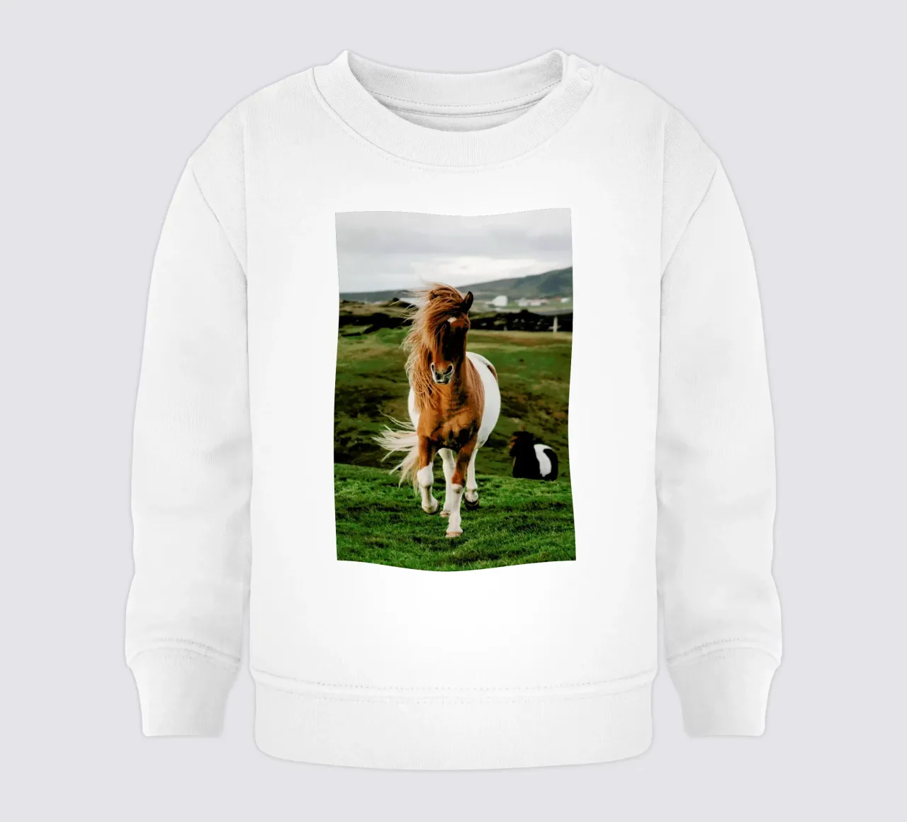 Shetland Ponies felpa neonato da Natural Kingdom