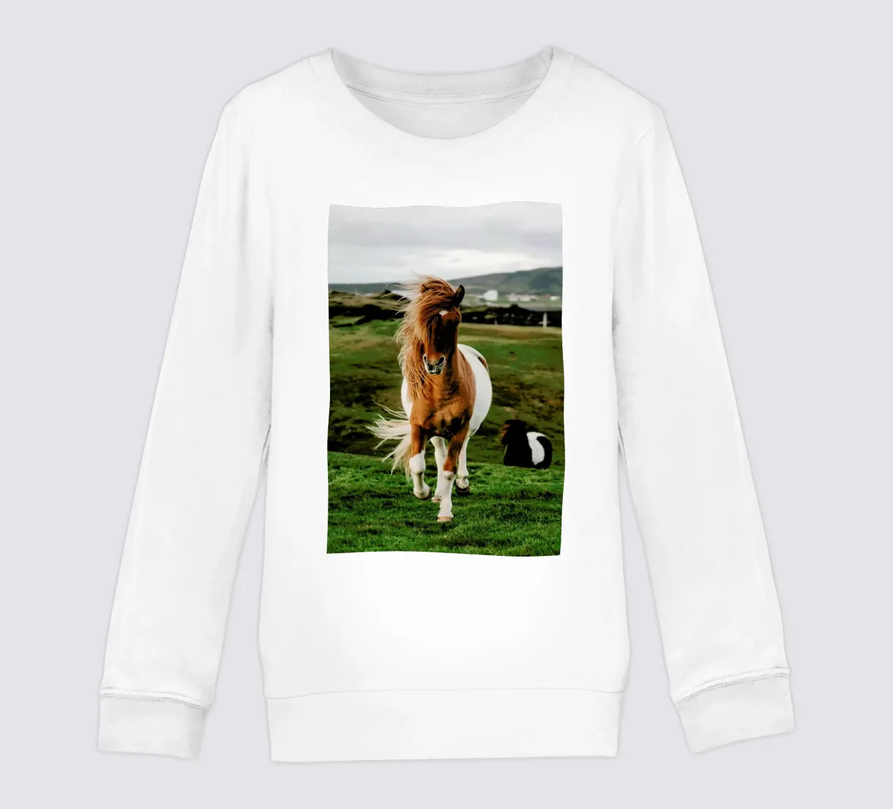 Shetland Ponies felpa bambino da Natural Kingdom
