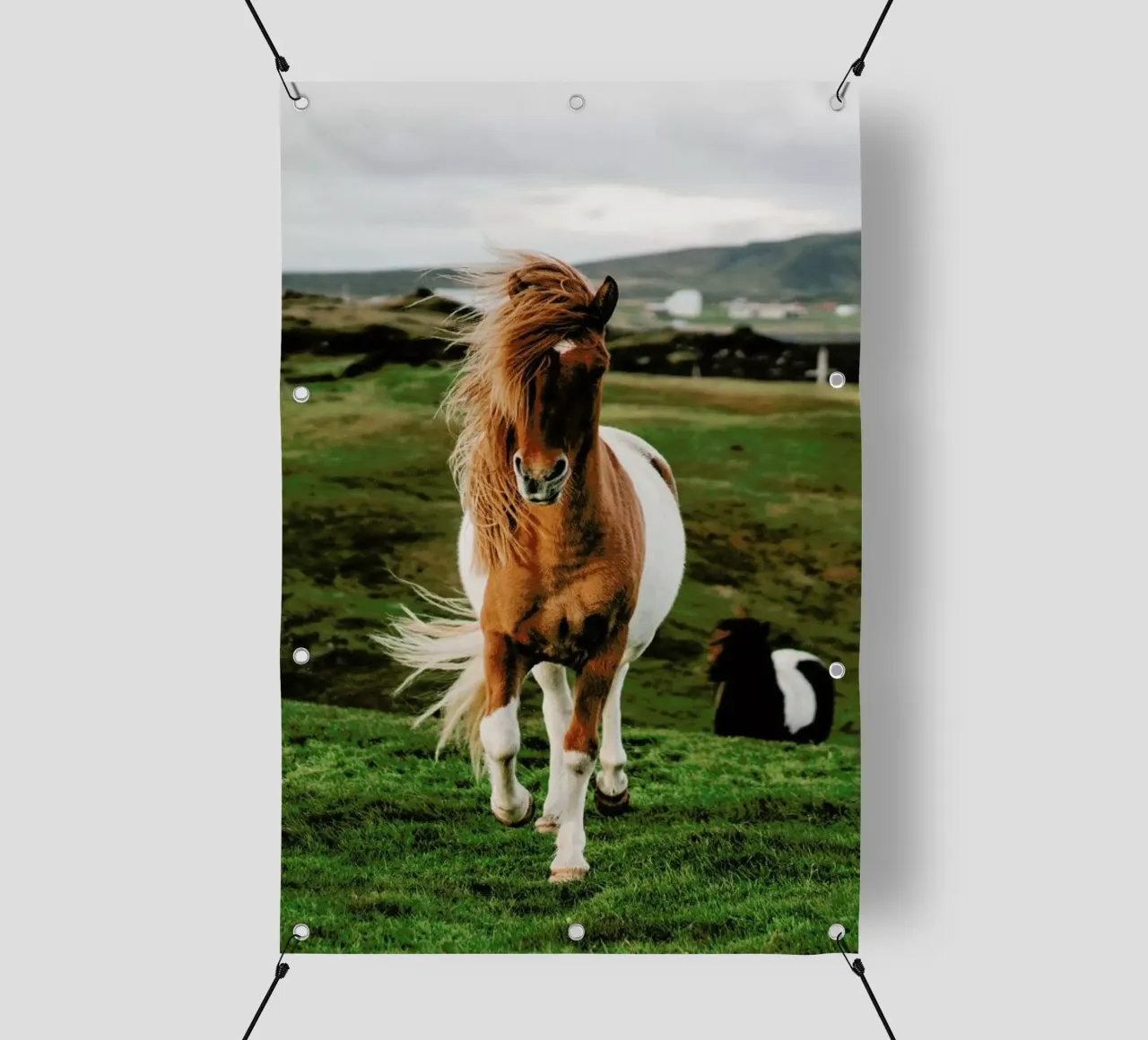 Shetland Ponies telo in pvc da Natural Kingdom