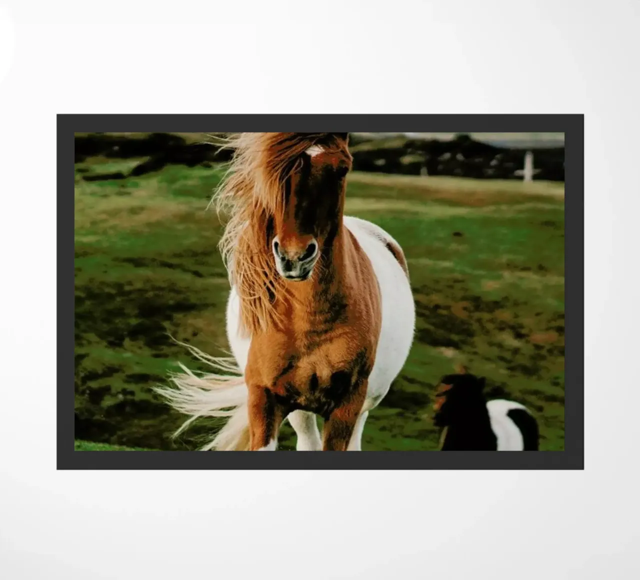 Shetland Ponies zerbino da Natural Kingdom